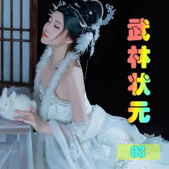 武林状元——03